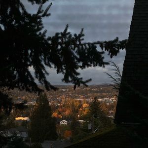 Meet your Posher, Ella